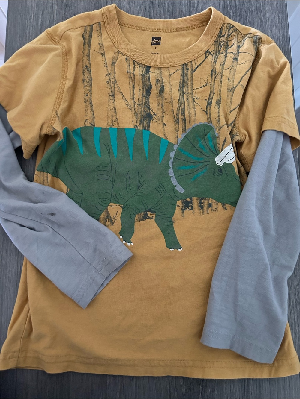 Tea Collection Long Sleeve Tees (boys)